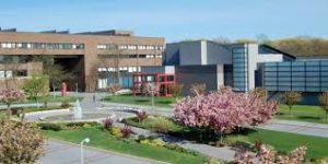 stony brook university