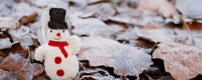 IvyBoost 2025 Winter Holiday Dates