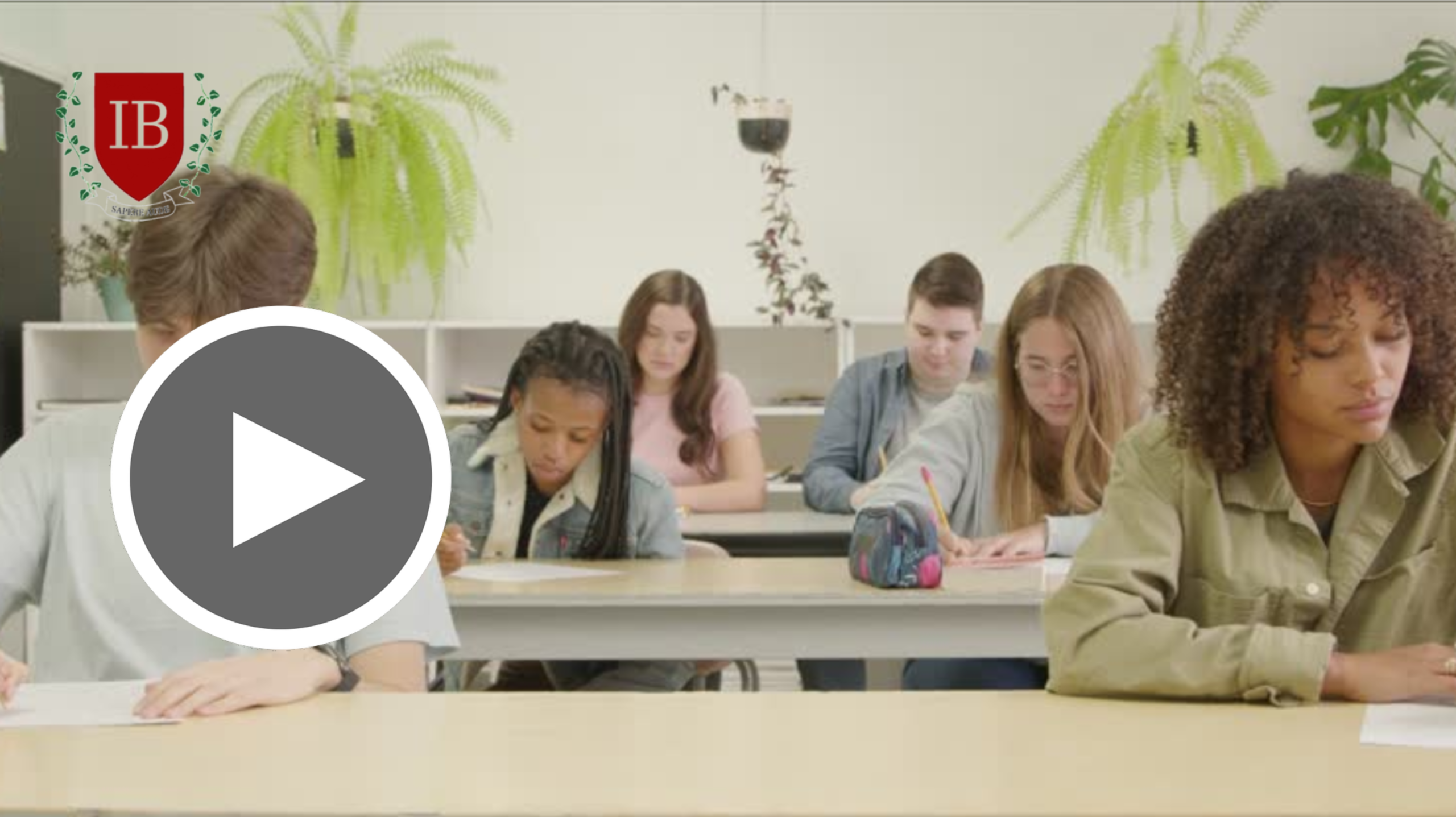 AP vs IB: What’s the Difference and How Does It Affect College Admissions?